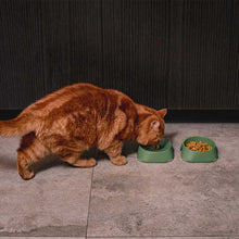 Load image into Gallery viewer, Dog Trex 2in1 An interactive toy for a dog