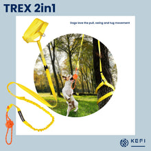 Load image into Gallery viewer, Dog Trex 2in1 Interactive toy for a dog 
